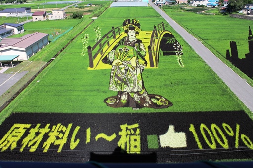 2013.8.2 田舎館村田んぼアート　その４.JPG