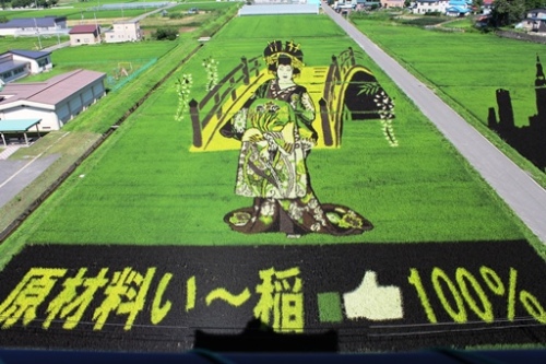 2013.8.2 田舎館村田んぼアート　その４.JPG