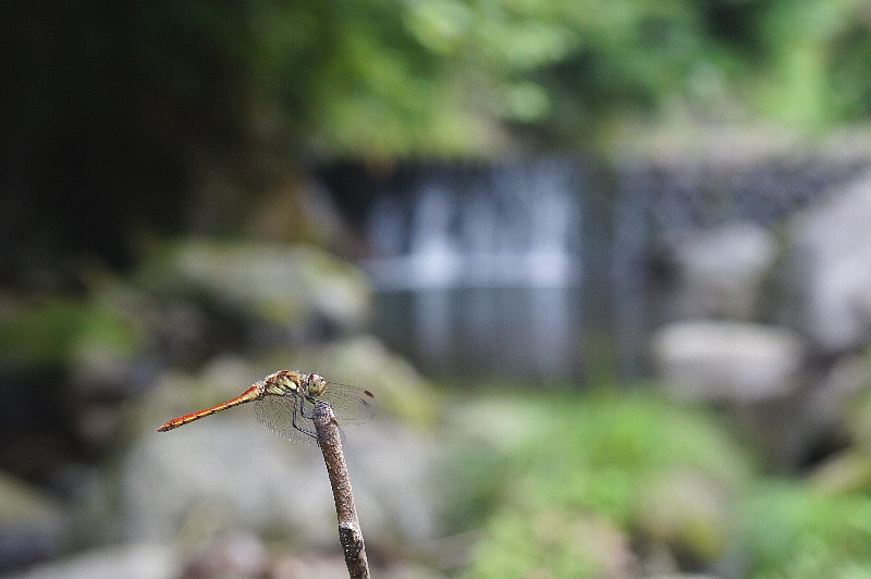 0807-8.jpg