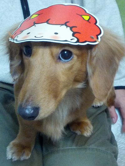 2013-02-03 21.03.35.jpg