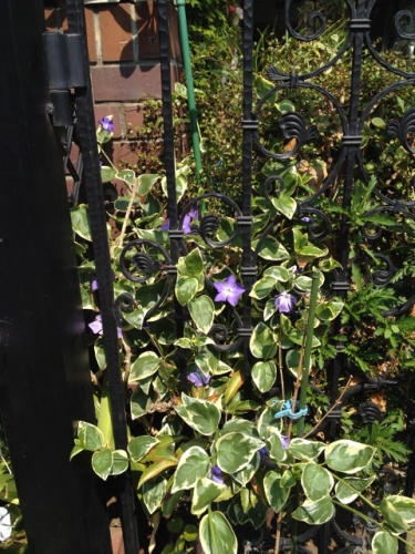 IMG_6995 (480x640).jpg