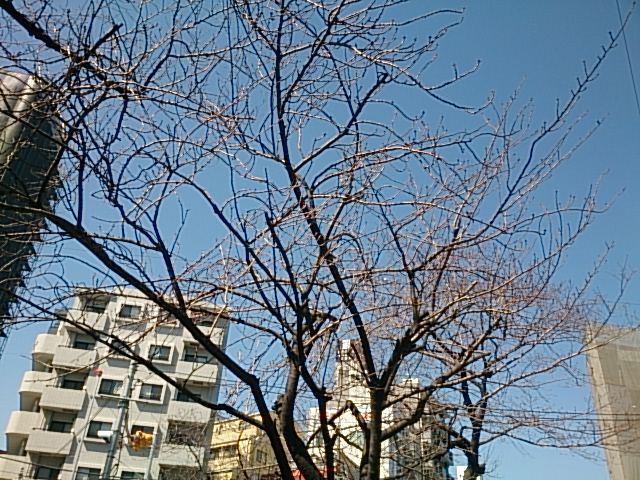 20140315  DSC_0001.jpg