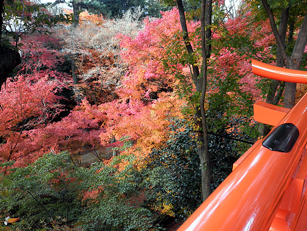 kitanotenmangu-4.jpg