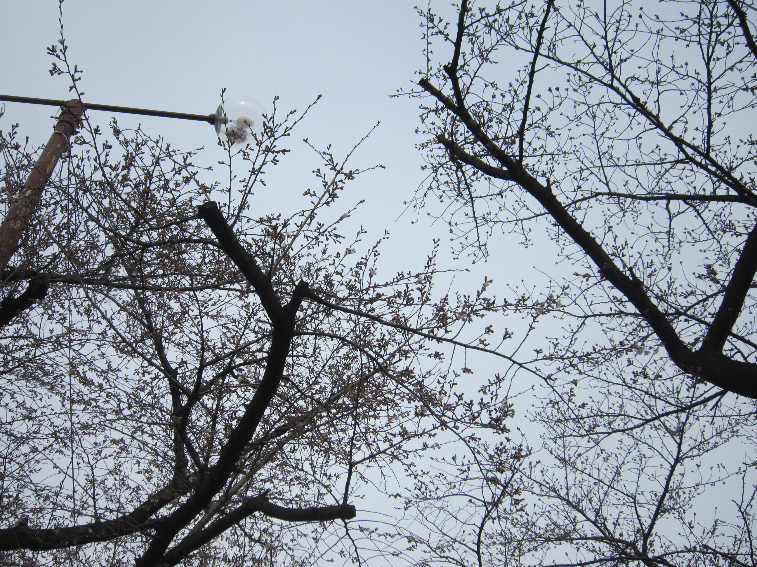 画像 1226.jpg