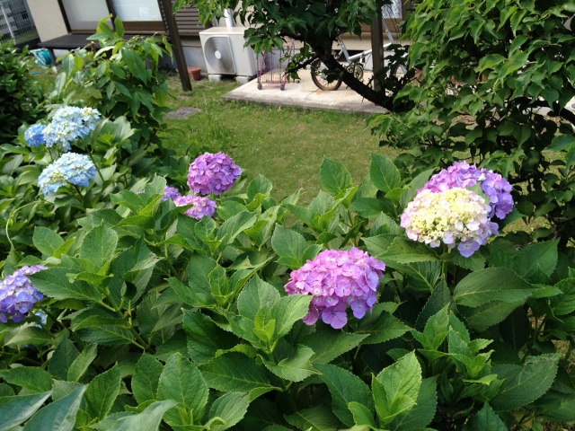 IMG_0482 (640x480).jpg