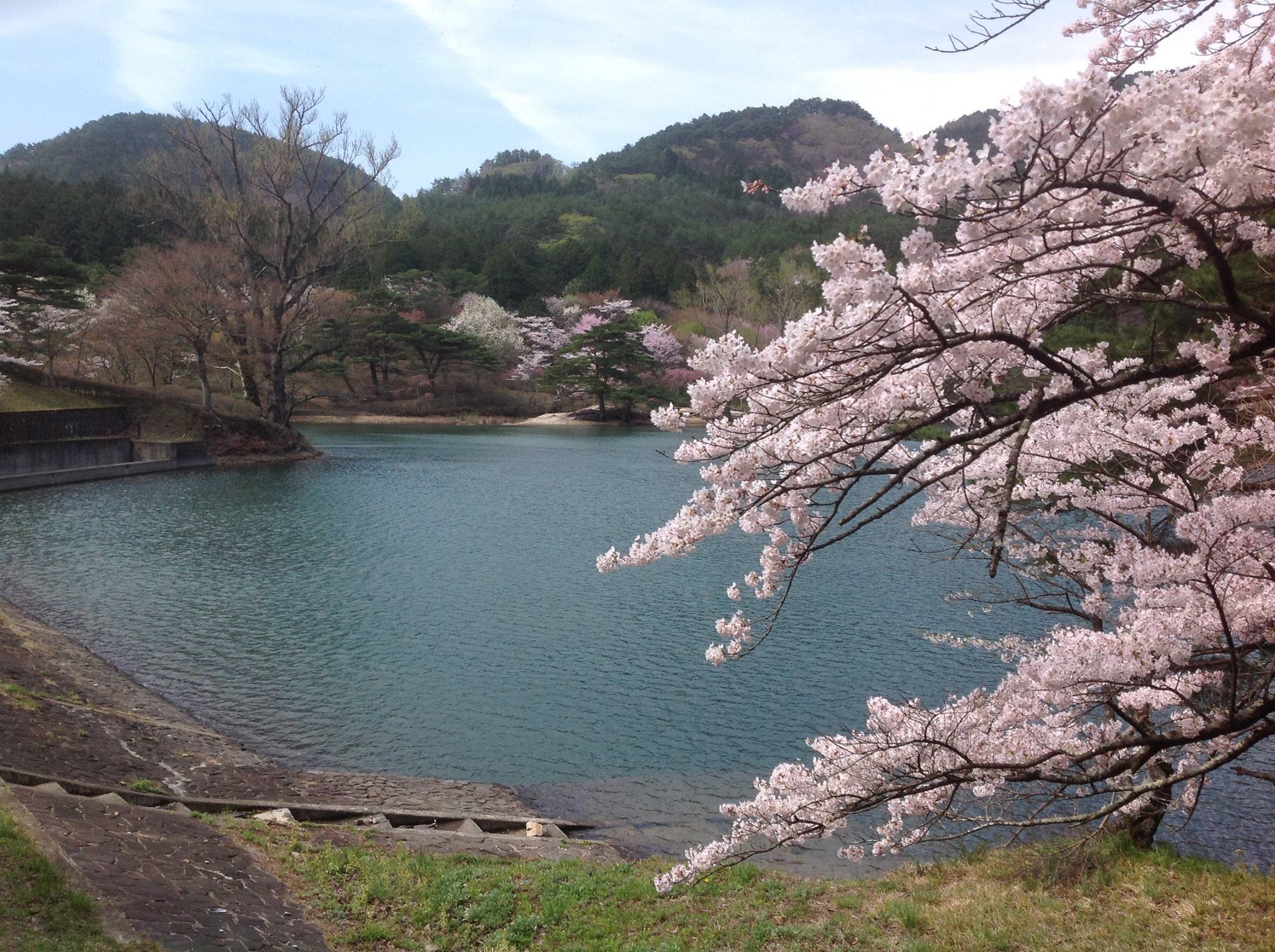 半田沼　２.jpg