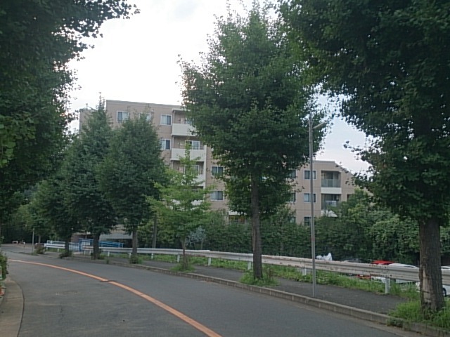 20170805  DSC_0002.jpg