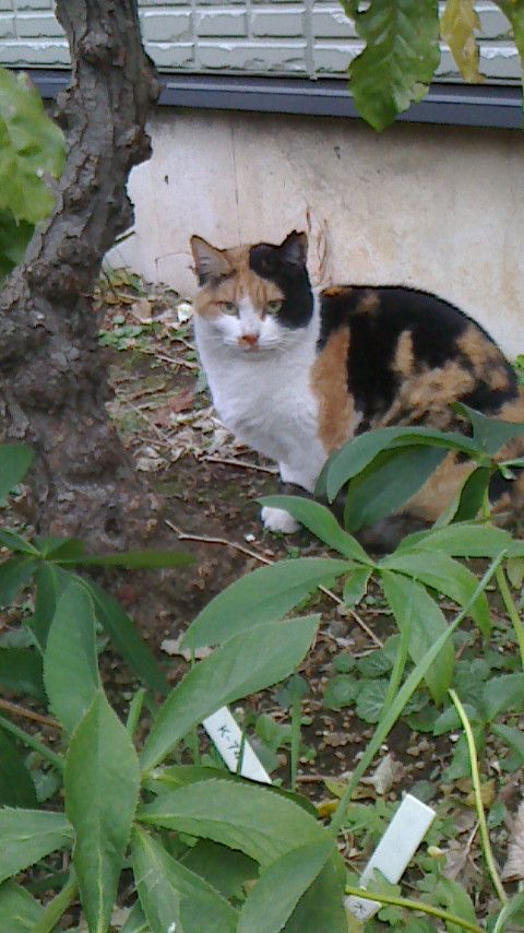 NEC_0573.JPG