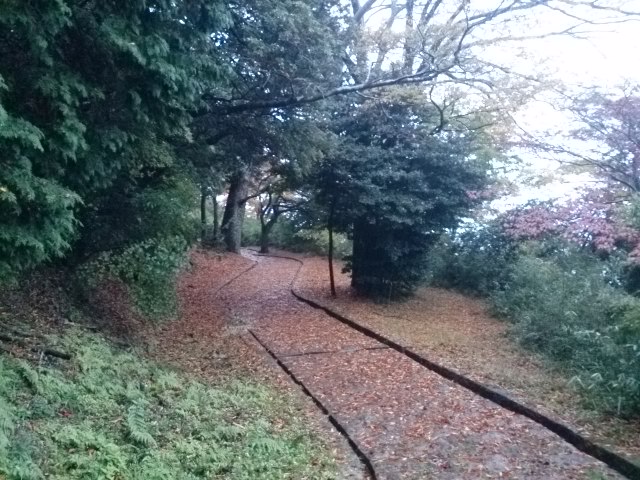 20151108  DSC_0004.jpg