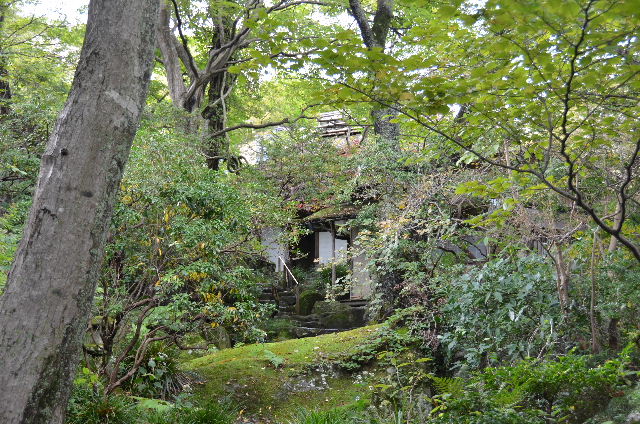 DSC_0770.JPG