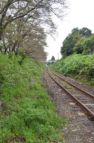 DSC_9511.JPG