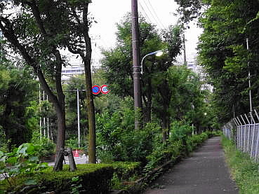 150825-02.JPG