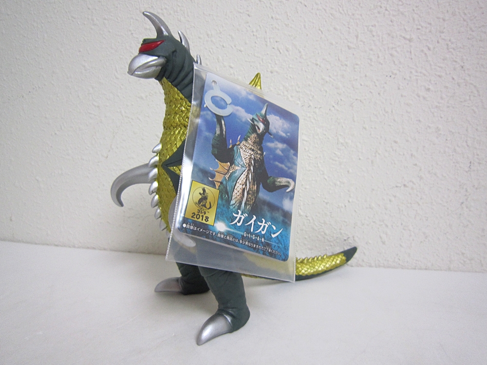 19.JPG