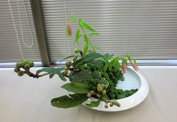 米山美砂子先生b