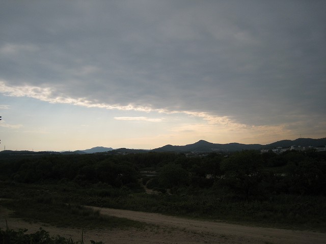 IMG_4003.jpg