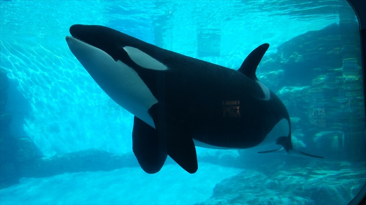 20151111 14542801.jpg