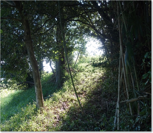 18ここを登るの？