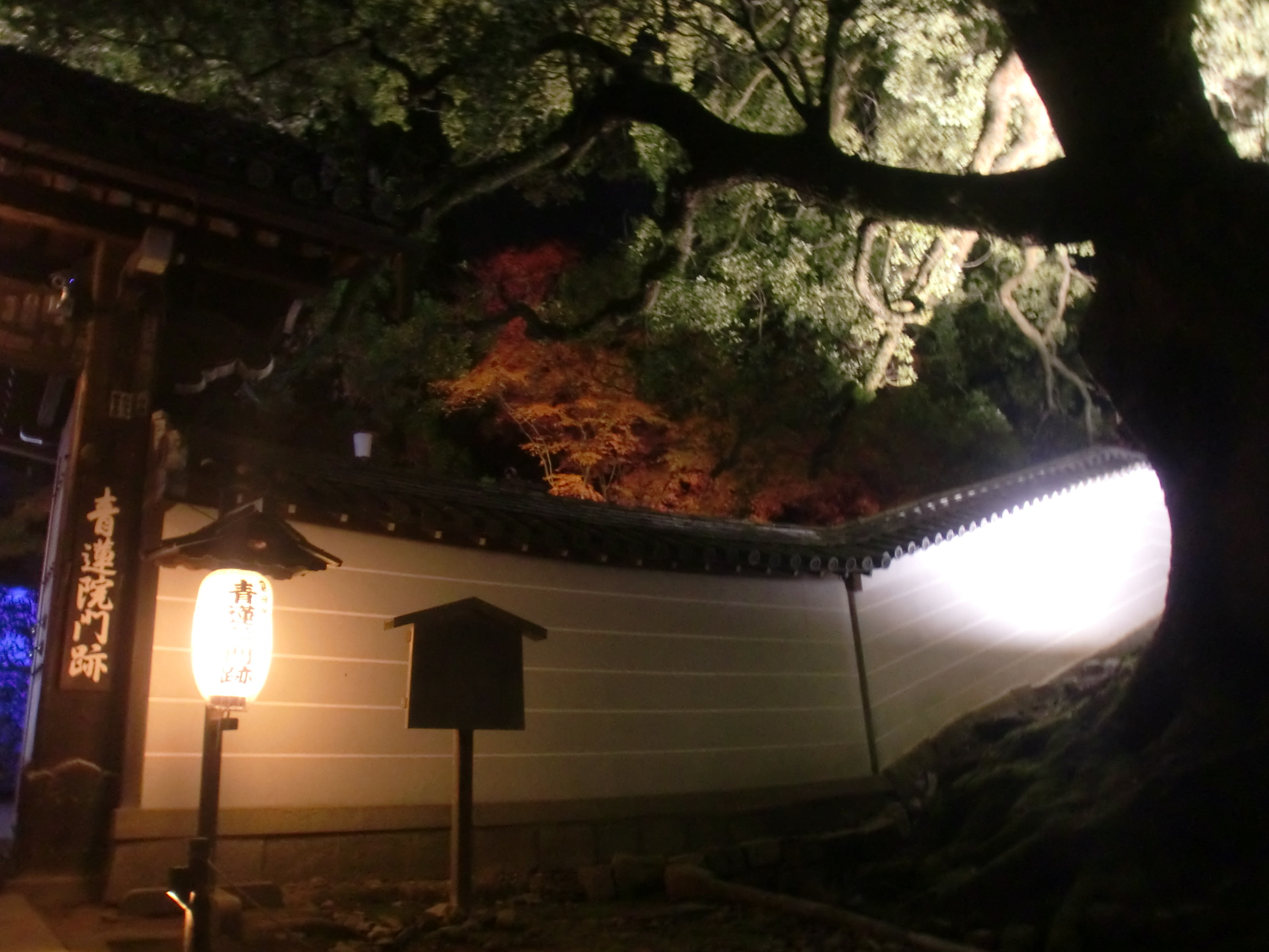 青連寺　門.JPG