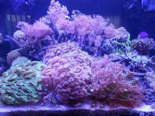 DSCN3990 (640x480).jpg