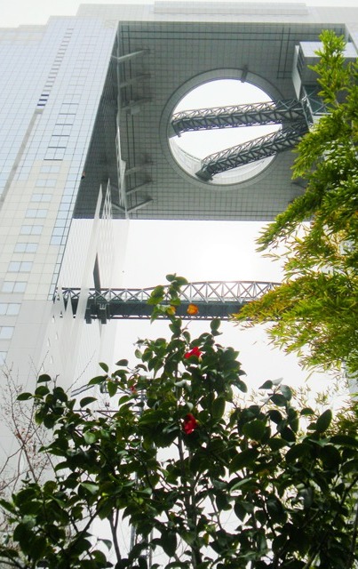 梅田スカイビルと椿.JPG