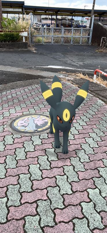 ポケモン_04_ブラッキー2.jpg