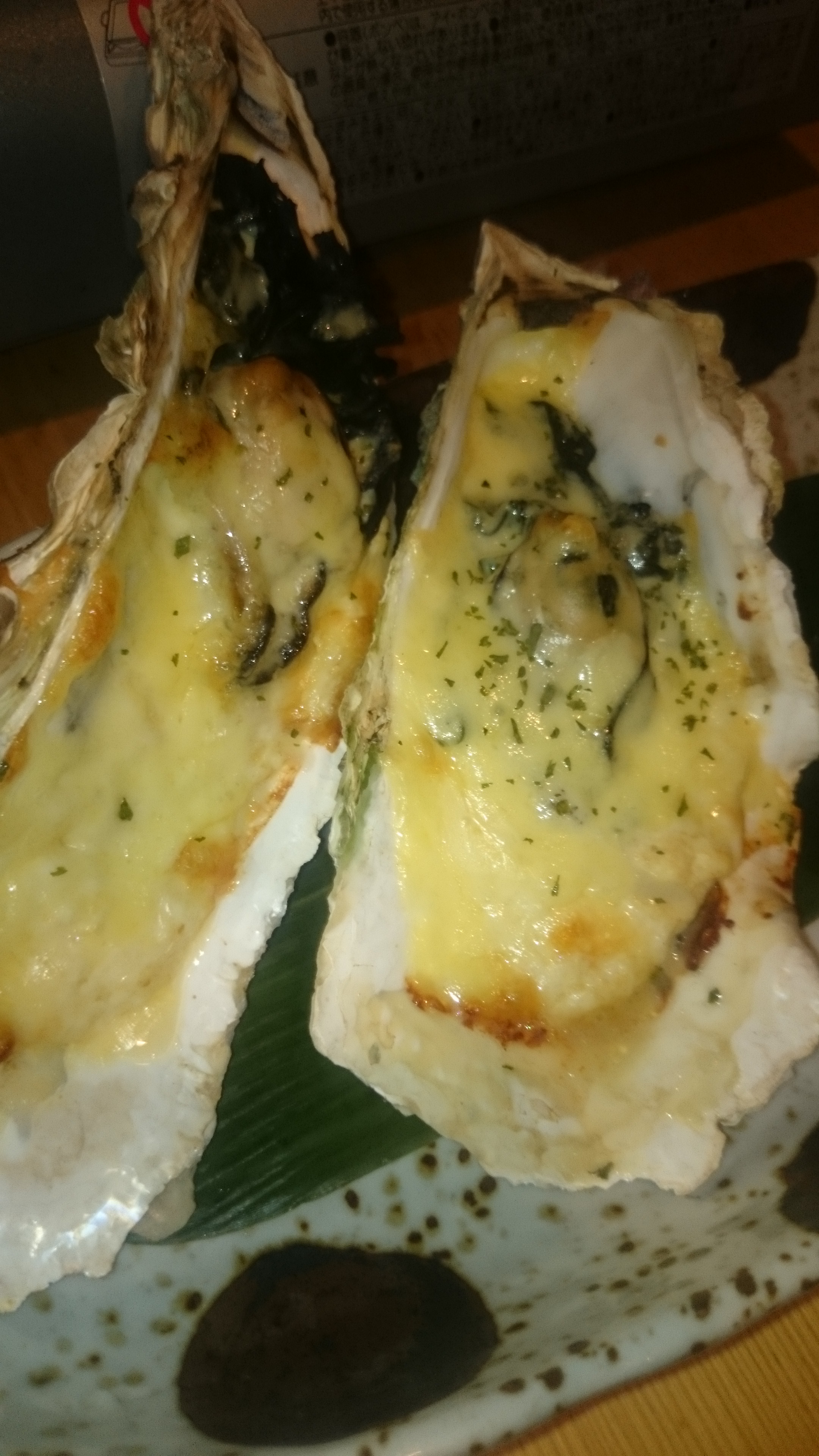 2015-12-04 19.53.40.jpg