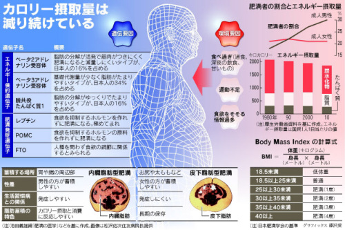 肥満.jpg