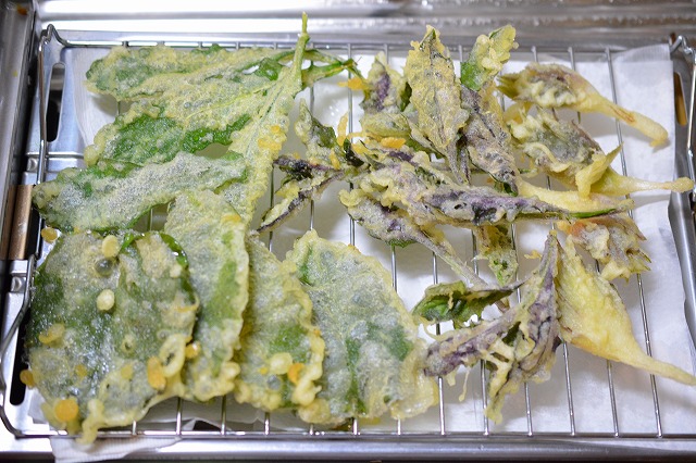 showPhoto (640×426)