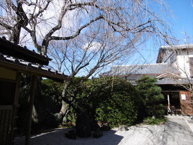 P1270293.JPG