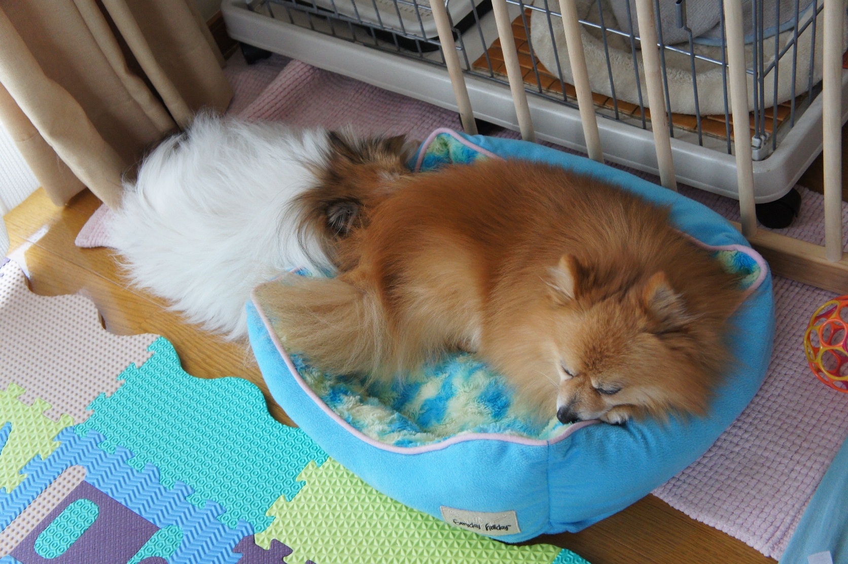 DSC07149.JPG