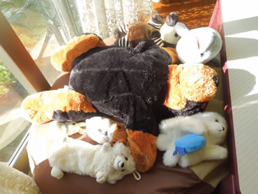 DSCN5433.jpg