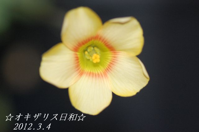 DSC_0127.JPG