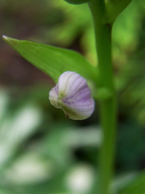 RIMG0495.JPG