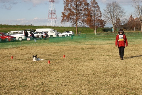 IMG_4704.JPG