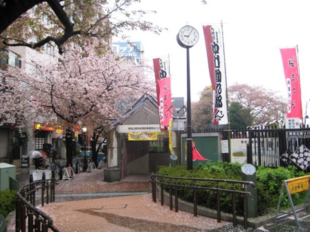 浅草卯月 057.JPG