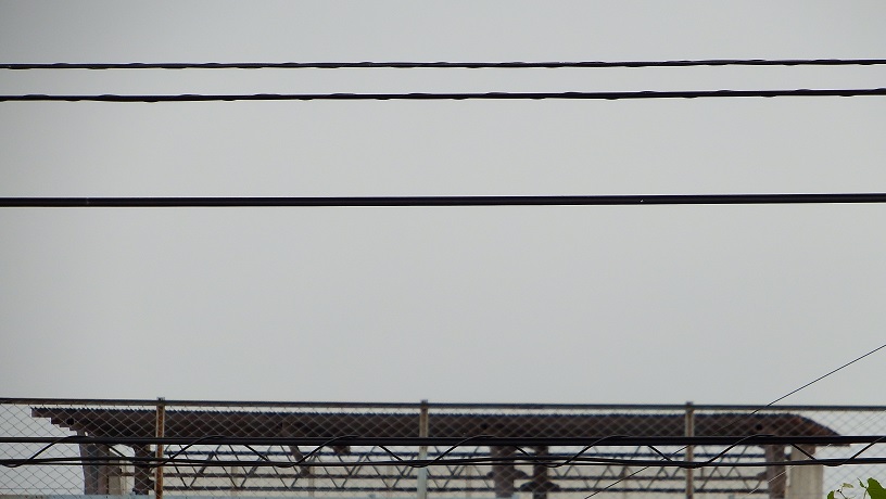 DSCF9090.JPG