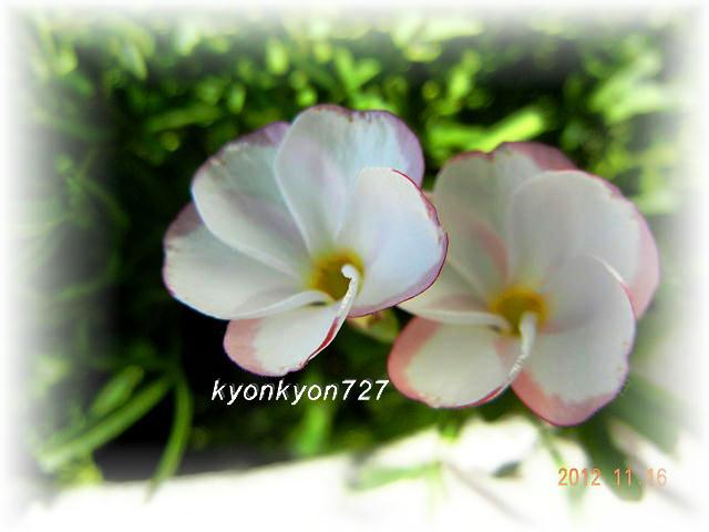 DSCN9773.jpg