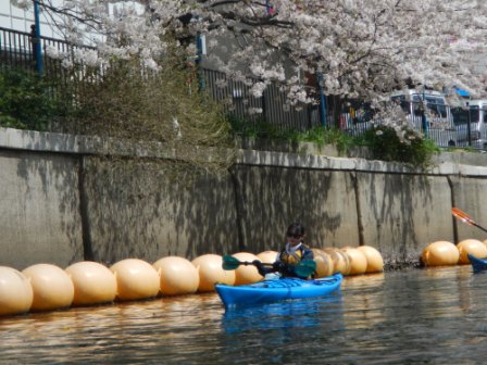 DSCN4707.JPG