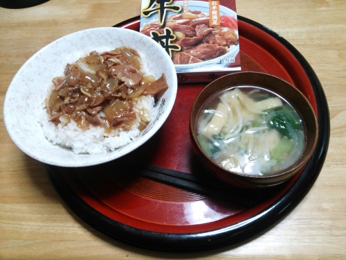 金のどんぶり 牛丼
