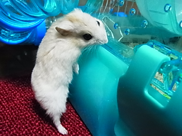 2014_05280089.JPG