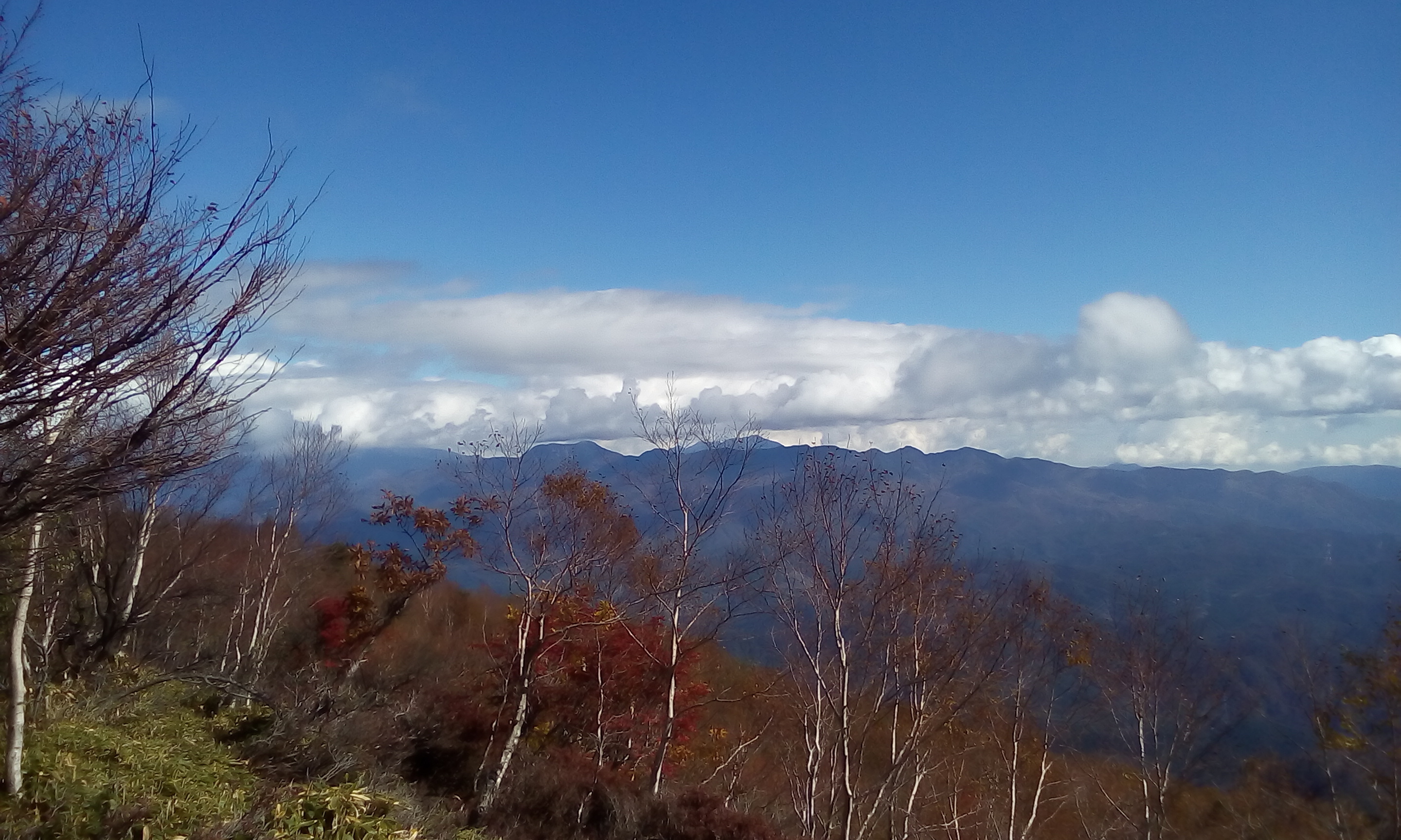 IMG_20151013_101610.jpg
