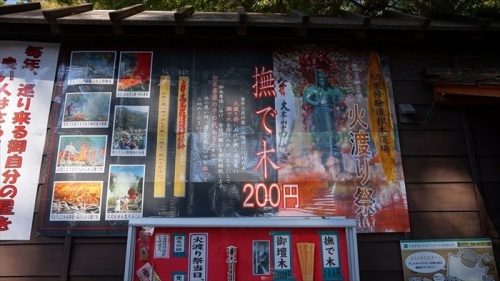 20151025 10042301.JPG