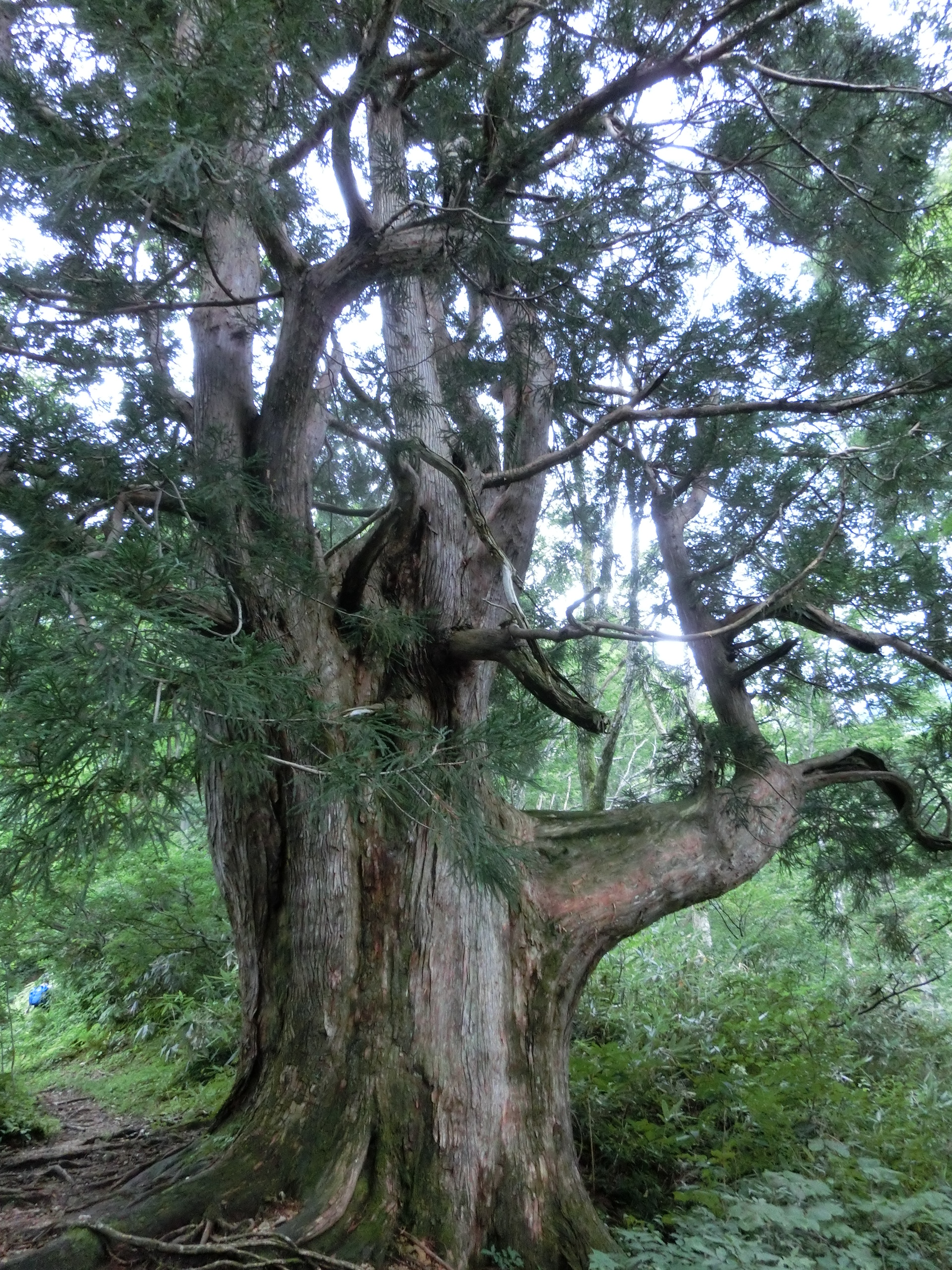 剱岳早月・立山 013.JPG