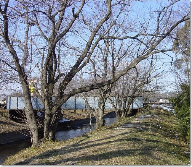 06足すことの桜と電車