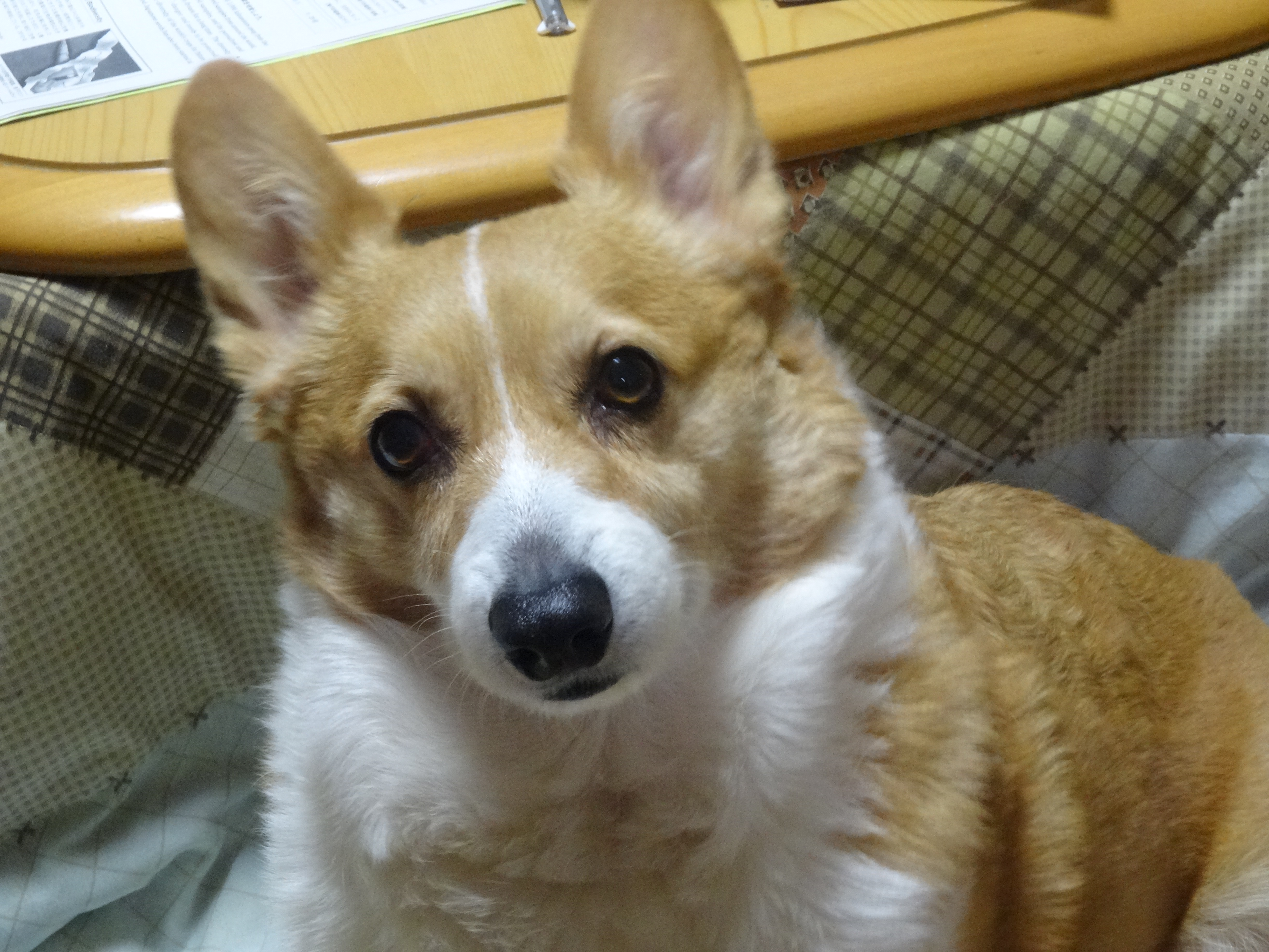 DSC00009.JPG