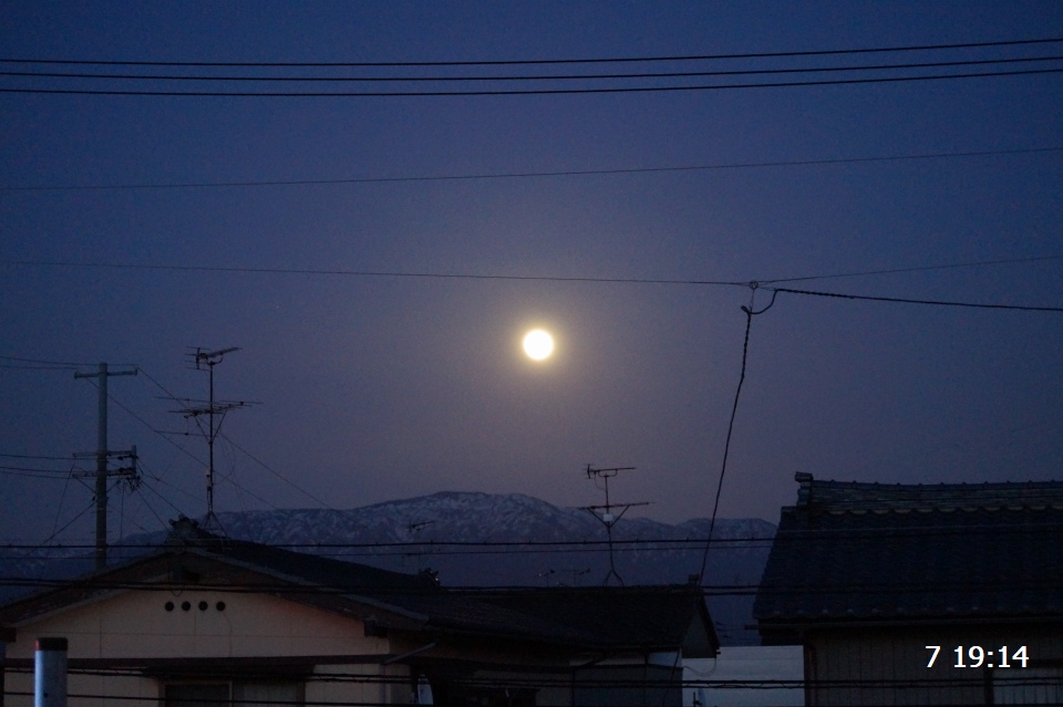 DSC00972 s.JPG