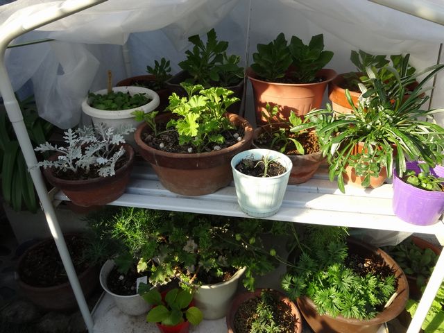 DSC06222.JPG