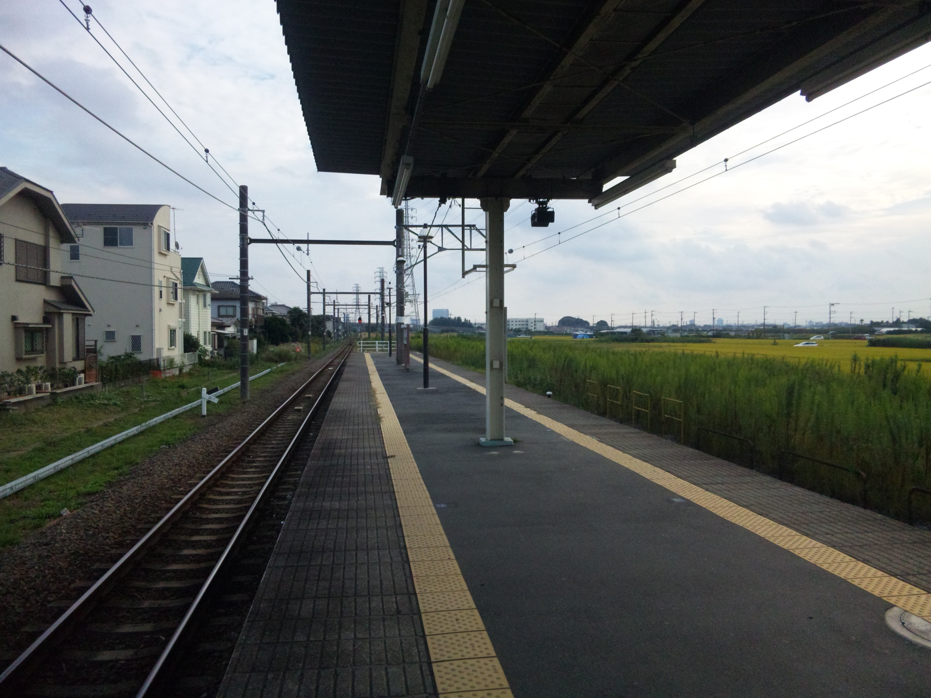 DVC00008  20120930.JPG