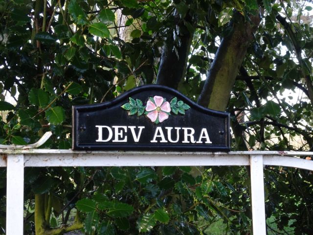 Dev Aura1.jpg