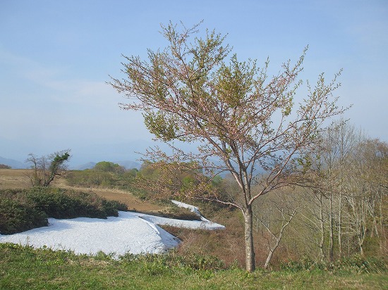 DSCF3203.jpg